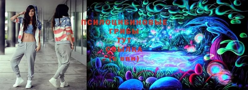 Псилоцибиновые грибы Magic Shrooms  где можно купить   Абинск 